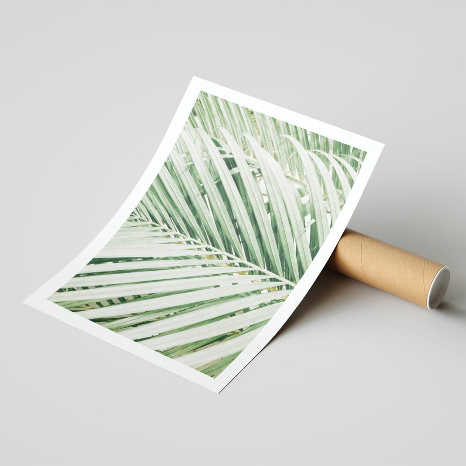 Plakat bez ramy 21x30 - Liście Palmy: Egzotyczna Grafika - palma, liście palmy