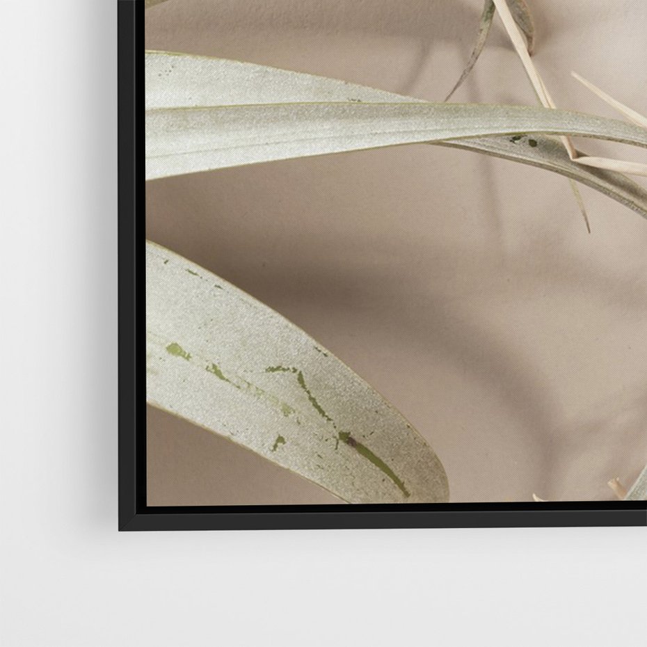 Obraz w ramie 50x70 - Boho urok suchych liści - suche, liście - rama czarna