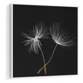 Obraz w ramie 50x50 - Delikatność Wiatru - dmuchawce, makro - rama biała