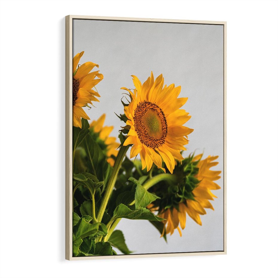 Obraz w ramie 70x100 - Słoneczna Radość - fotografia, żółte słoneczniki - rama drewno