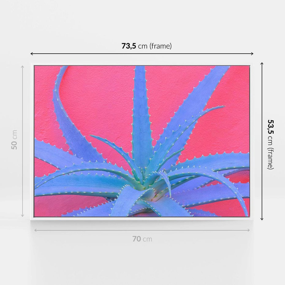 Obraz w ramie 70x50 - Piękno Pustyni - kaktusy, liście - rama biała