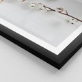 Plakat w ramie 50x70 - Gałęzie Bawełny na Białym Tle - gałęzie bawełny na białym tle, minimalizm - rama czarna