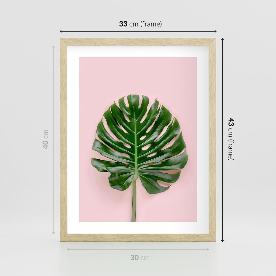 Plakat w ramie 30x40 - Monstera w Różowym Świetle - liść monstery, różowe tło - rama drewno