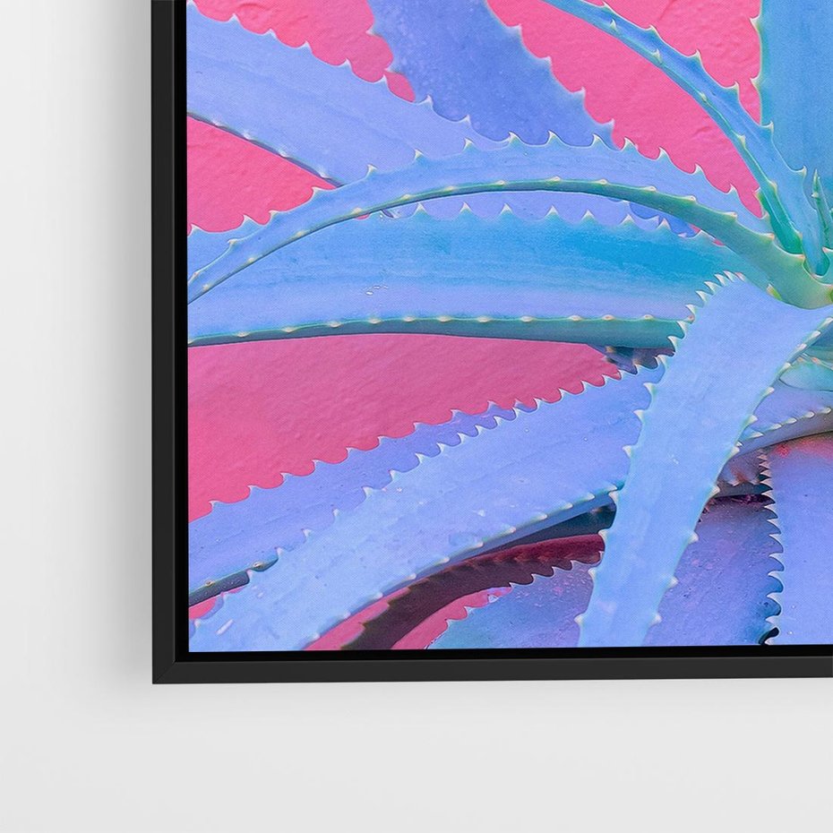 Obraz w ramie 50x50 - Piękno Pustyni - kaktusy, liście - rama czarna