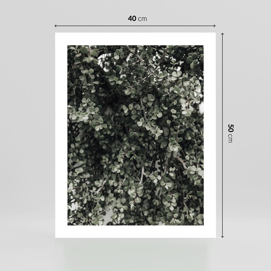 Plakat bez ramy 40x50 - Jasnozielone Liście i Gałązki - liście, gałązki