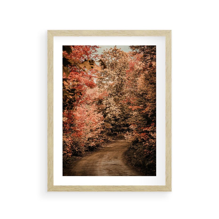 Plakat w ramie 30x40 - Obraz przedstawia jesienne drzewa i czerwone liście na ścieżce w lesie. Ta sceneria doskonale oddaje urok i kolorystykę jesieni w lesie. - las, jesień - rama drewno
