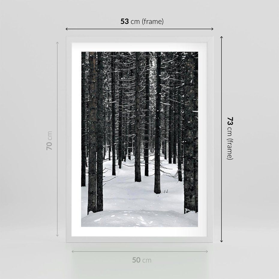 Plakat w ramie 50x70 - Zimowe Drzewa: Śnieg na Pniach - drzew w zimi, pnie drzew - rama biała