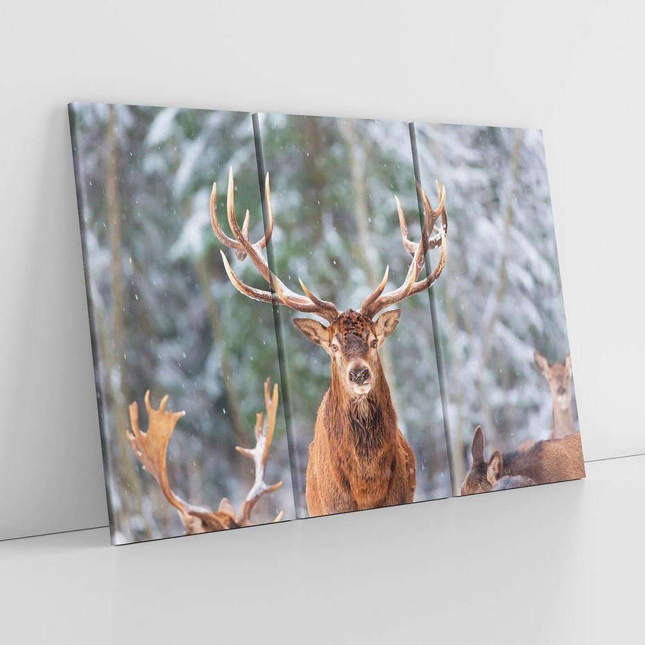 Obraz na płótnie 120x80 - Monarcha Zimowej Dziczy - jeleń, zima