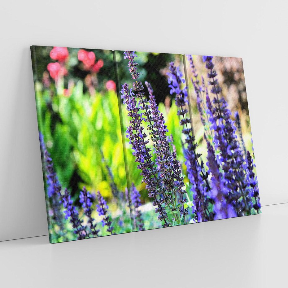 Obraz na płótnie 120x80 - Ogród Lawendowy - lawenda, kwiat