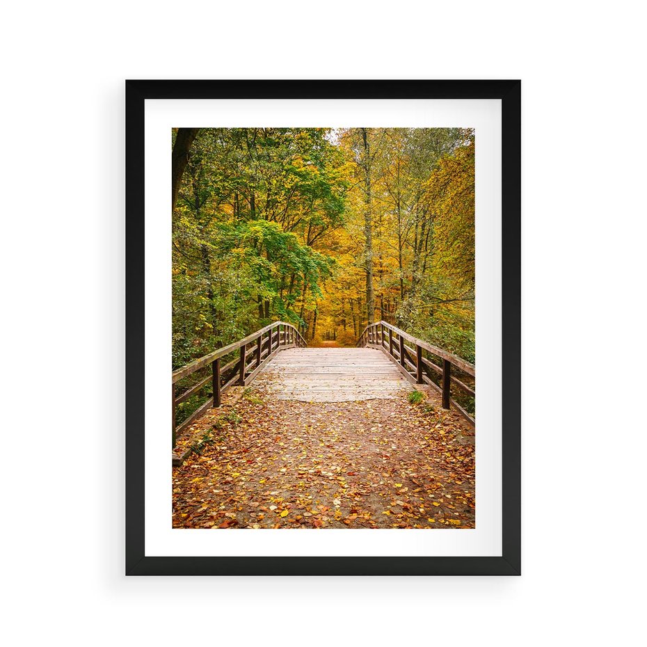 Plakat w ramie 40x50 - Spacer Ścieżką w Las - ścieżka, spacer - rama czarna