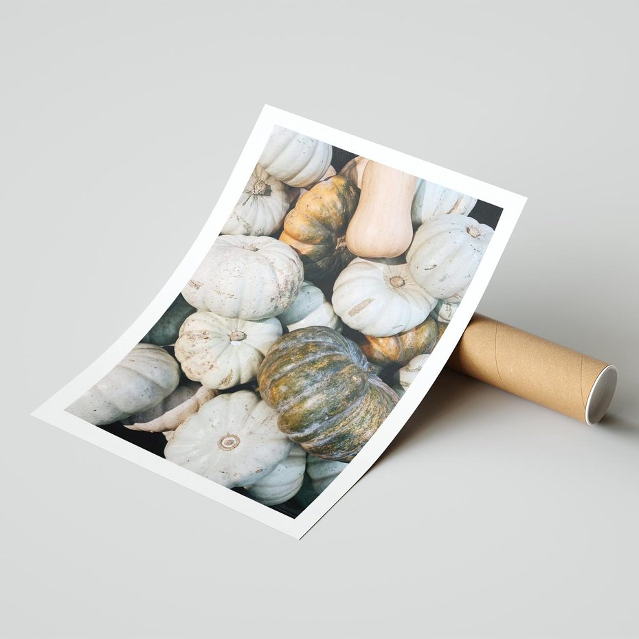 Plakat bez ramy 50x70 - Minimalizm Jesieni - dynie, białe