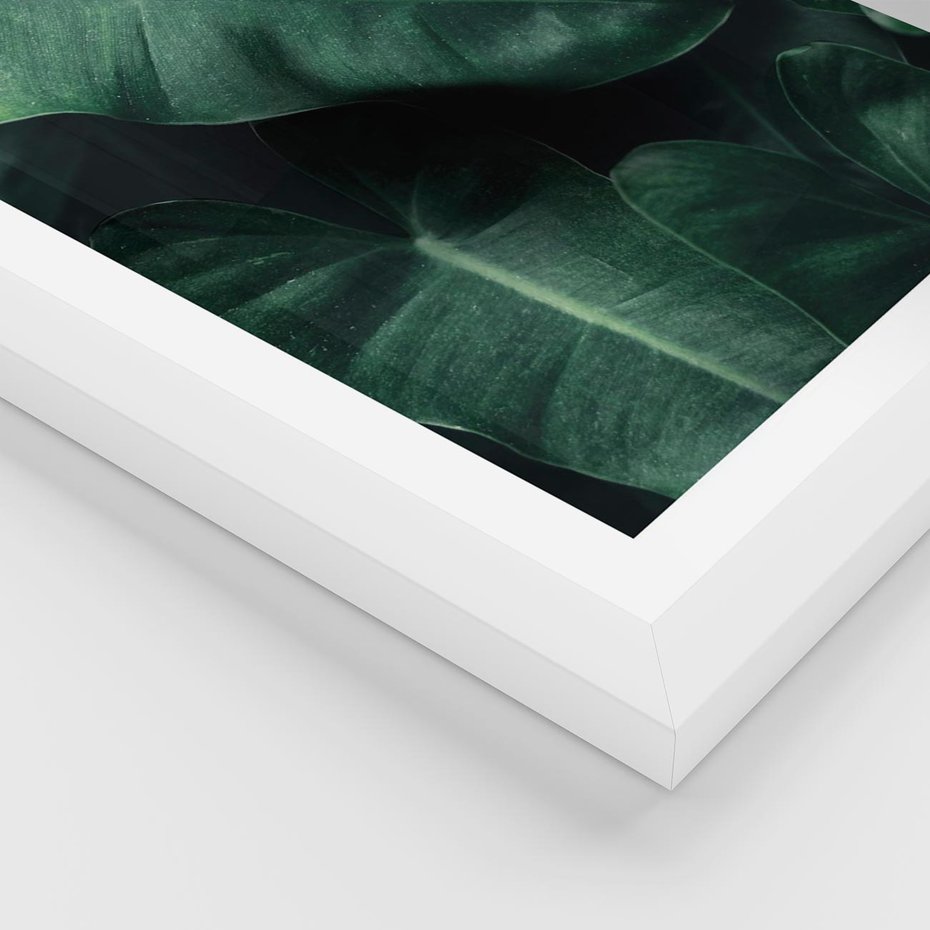 Plakat w ramie 40x50 - Liście Bananowca - minimalizm, zielone liście bananowca - rama biała