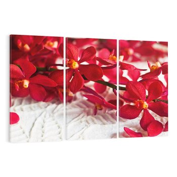 Obraz na płótnie 120x80 - Delikatność Kwiatowej Elegancji - orchidea, kwiat