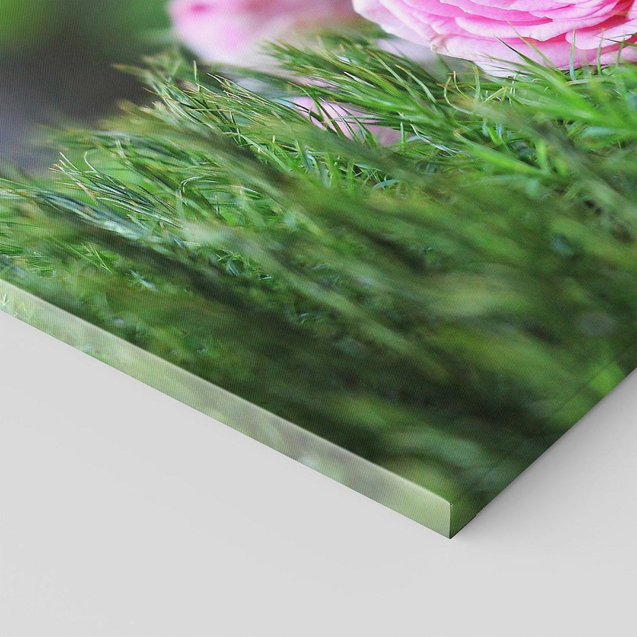 Obraz na płótnie 70x50 - Różane Ukojenie - róże, kwiaty