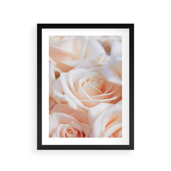Plakat w ramie 40x50 - Aromatyczna Piękność - płatki herbacianej róży, kwiaty - rama czarna