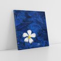 Obraz na płótnie 60x60 - Kwiaty wodne delikatność natury - kwiat, woda