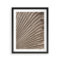 Plakat w ramie 40x50 - Liść Palmy w Wyjątkowej Kompozycji - suchy liść palmy, boho styl - rama czarna