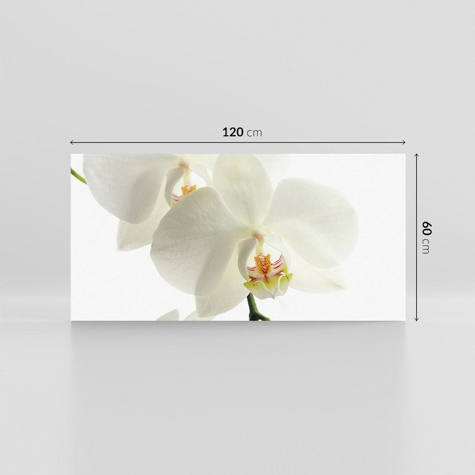 Obraz na płótnie 120x60 - Kwiatowe piękno - kwiat, kwiaty