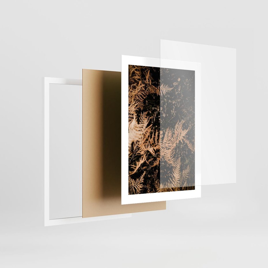 Plakat w ramie 30x40 - Jesienne Paprocie: Kolorowa Paleta Natury - paprocie, jesień - rama biała