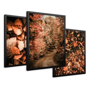 Zestaw obrazy w ramie 40x50 galeria - Liście, las, ścieżka - rama czarna
