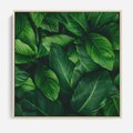 Obraz w ramie 80x80 - Palma Liście Kwiat - palma, liście - rama drewno