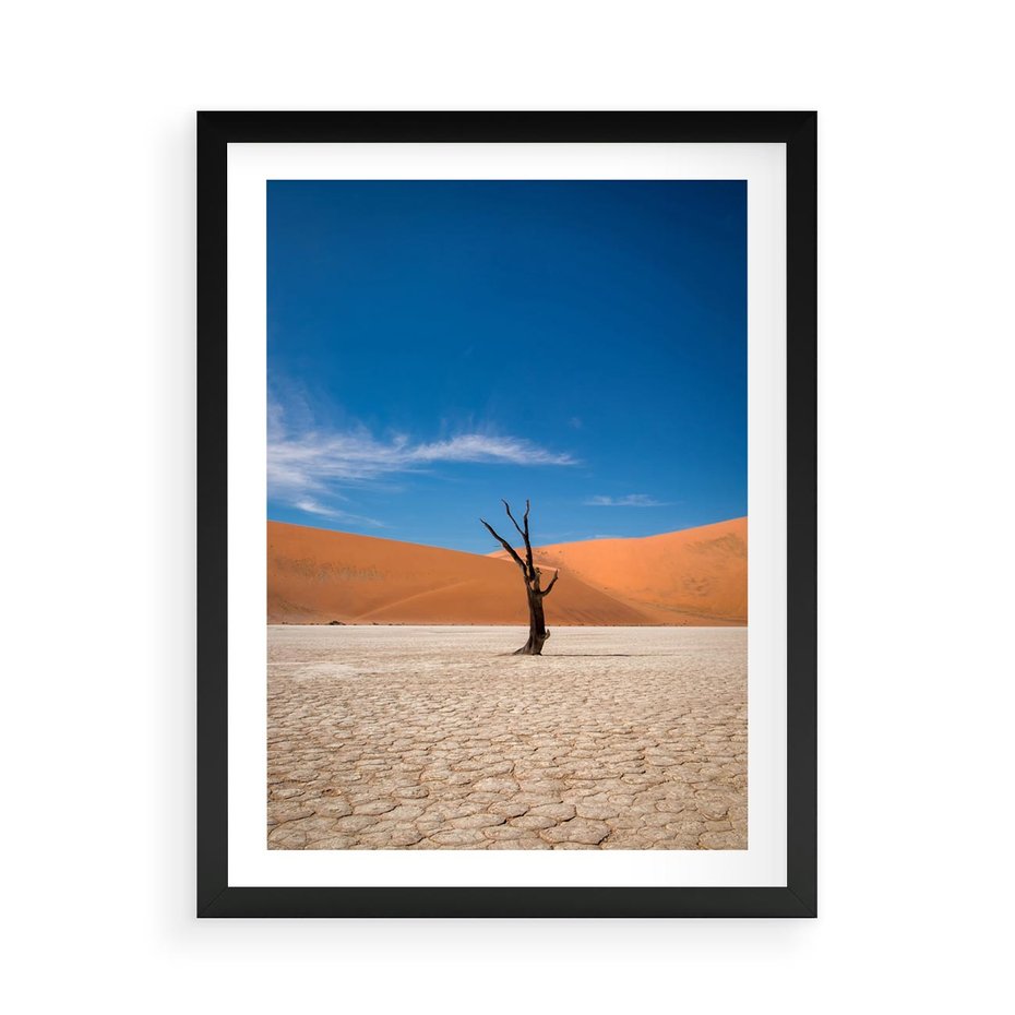 Plakat w ramie 50x70 - Słońce i Suche Drzewo - pustynia, suche - rama czarna