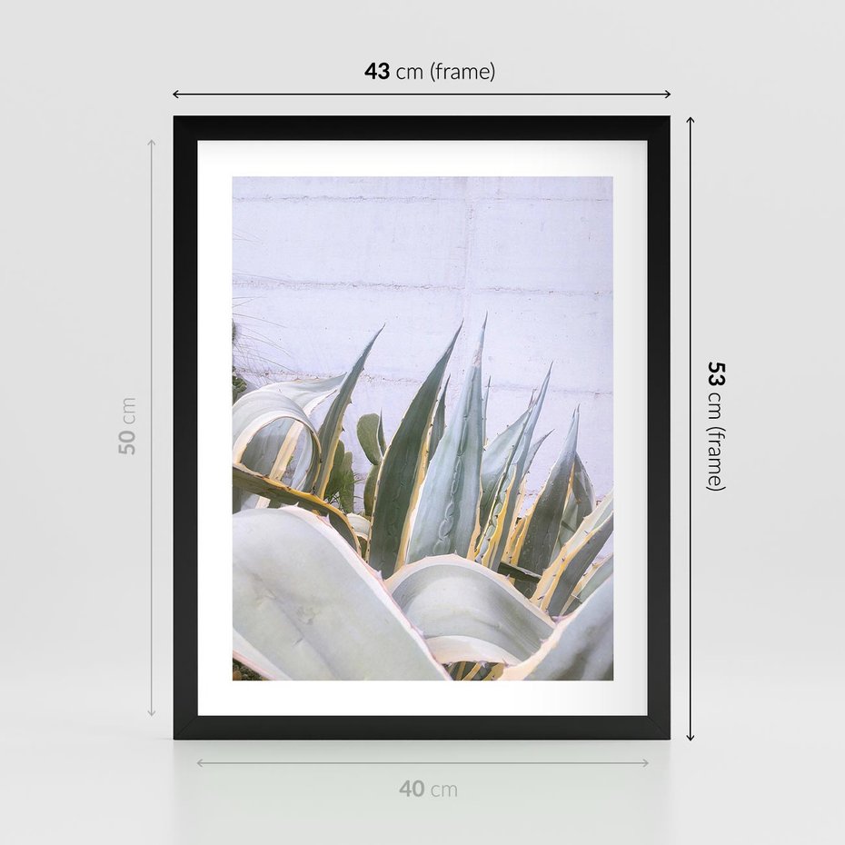 Plakat w ramie 40x50 - Sukulentowe liście - liście, sukulenty - rama czarna