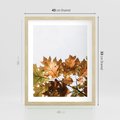 Plakat w ramie 40x50 - Suche Żółte Liście w Malowniczym Ujęciu - liście, żółte - rama drewno