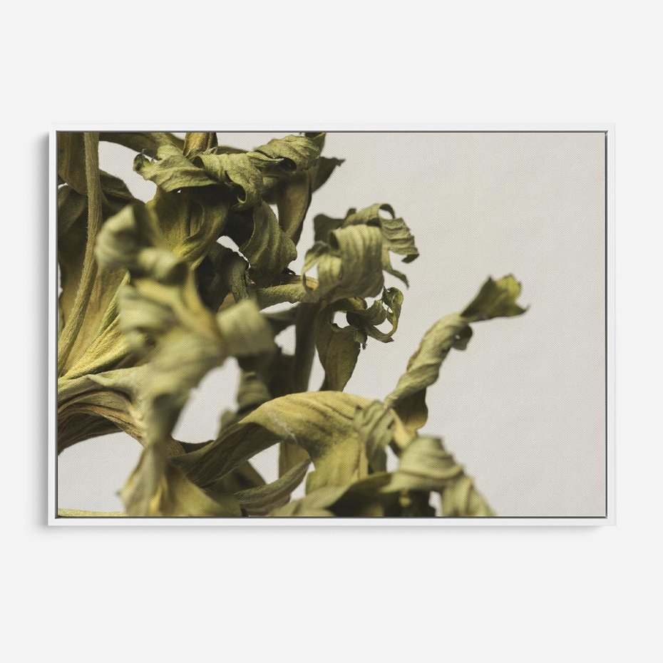 Obraz w ramie 100x70 - Odejście pory deszczowej - suche, trawy - rama biała