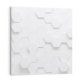 Obraz na płótnie 80x80 - Intrygujący Wymiar - geometria, 3D