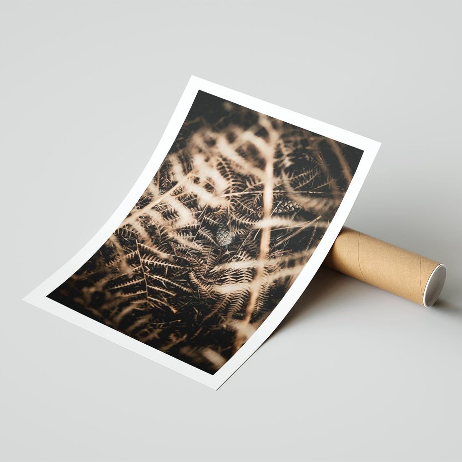 Plakat bez ramy 21x30 - Liście i Paprocie - suche liście, paprocie