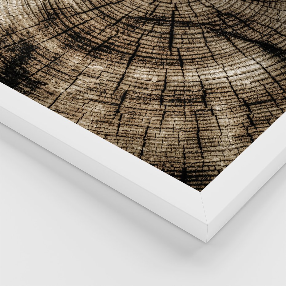 Zestaw obrazy w ramie 40x50 galeria - Drewno, pień, boho, domek - rama biała