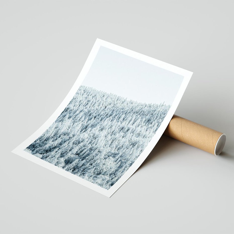 Plakat bez ramy 21x30 - Cicha Zima - las, zima