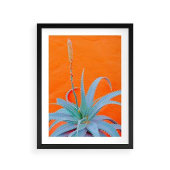 Plakat w ramie 50x70 - Naturalna Harmonia - kaktusy, liście - rama czarna