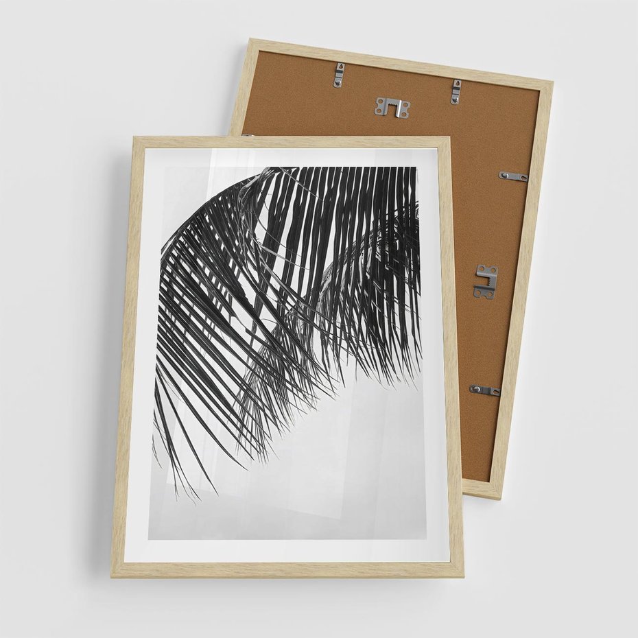 Plakat w ramie 50x70 - Czarno-Biały Kontrast - czarno białe zdjecie, palma - rama drewno