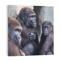 Obraz na płótnie 40x40 - Małpy w ich naturalnym środowisku - małpy, szympansy