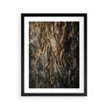 Plakat w ramie 40x50 - Tekstura Drewna: Zbliżenie - zbliżenie na pień drzewa, tekstura - rama czarna