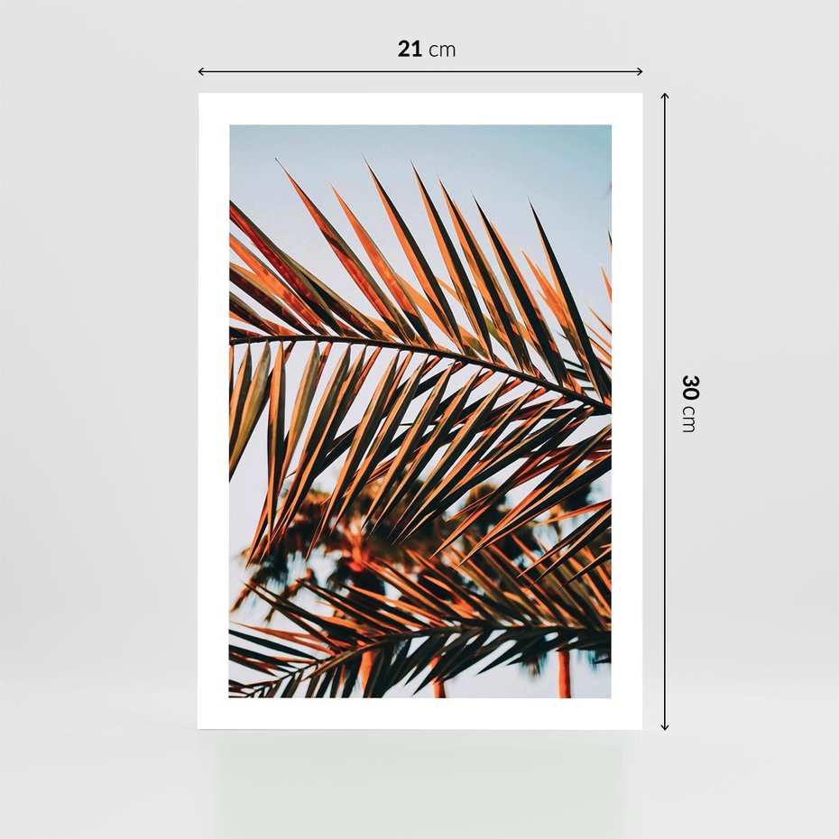 Plakat bez ramy 21x30 - Tropikalna Harmonia - palma, liście palmy