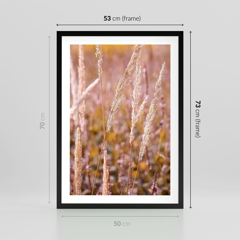Plakat w ramie 50x70 - Sucha Trawa w Sierpniu - trawy, łąka - rama czarna