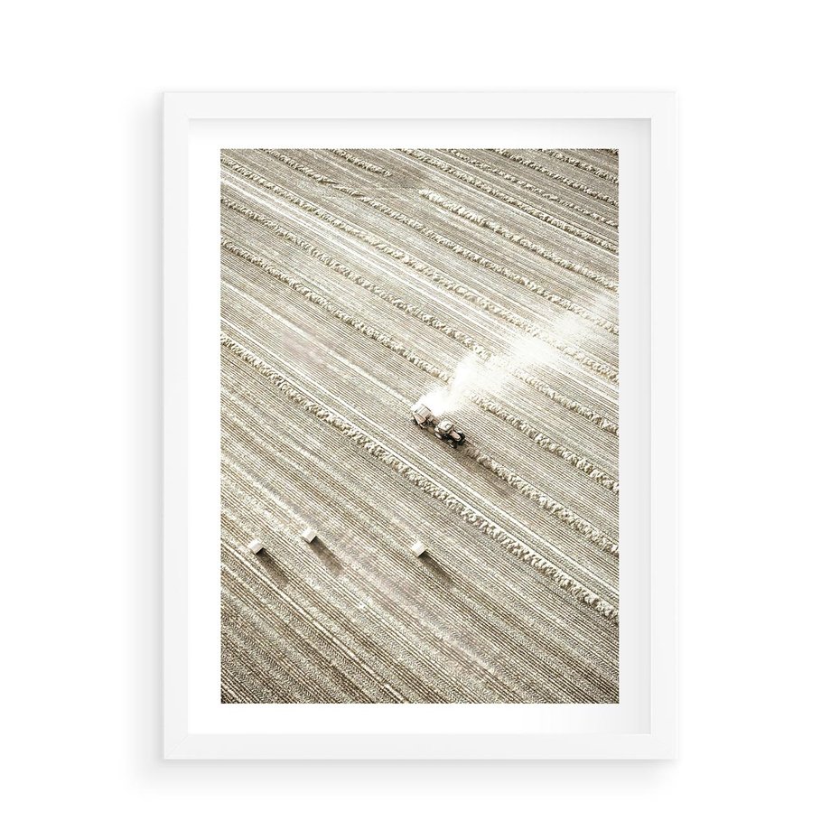 Plakat w ramie 50x70 - Pole i Żniwa na Malowniczym Zdjęciu - pole, traktor - rama biała