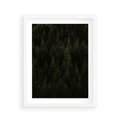 Plakat w ramie 40x50 - Ciemny las iglasty - las, iglasty - rama biała