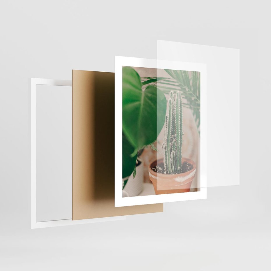Plakat w ramie 40x50 - Boho Urok - kaktus w doniczce, gliniana doniczka - rama biała