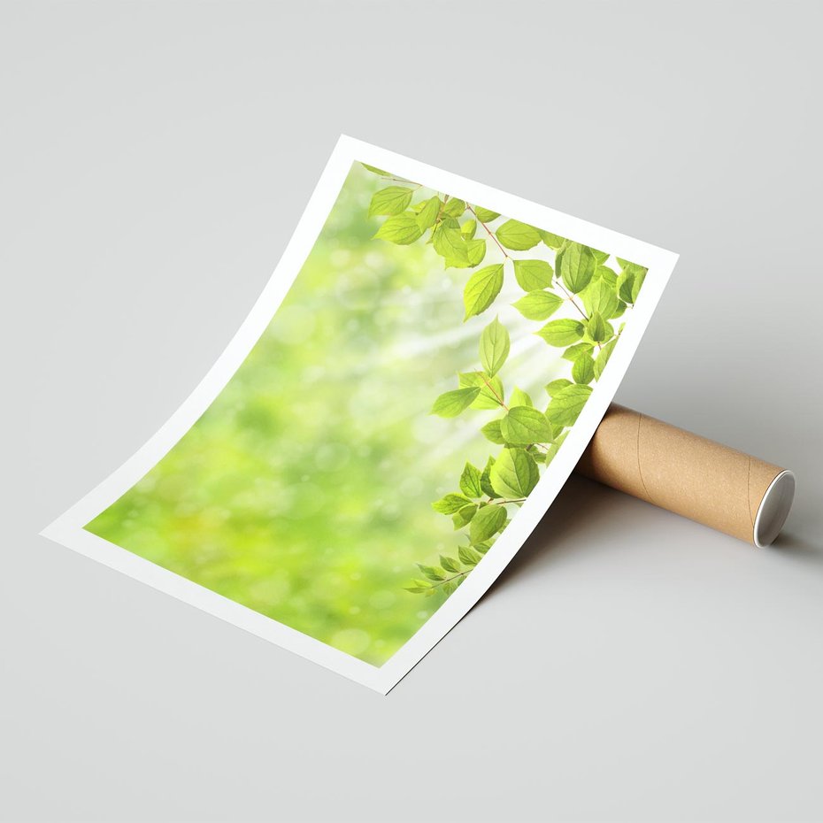 Plakat bez ramy 50x70 - Zielone liście natury - liści, zieleń