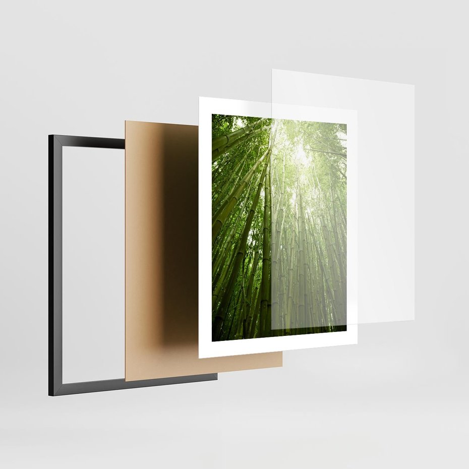 Plakat w ramie 40x50 - Siła Natury - drzewa, las - rama czarna