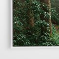 Obraz w ramie 80x80 - Mgliste Marzenia - artystyczna fotografia, las - rama biała