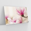 Obraz na płótnie 120x80 - Urok Magnolii - magnolie, kwiaty