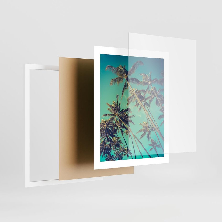 Plakat w ramie 40x50 - Tropikalne palmy w krainie słonecznych wakacji - palmy, tropiki - rama biała