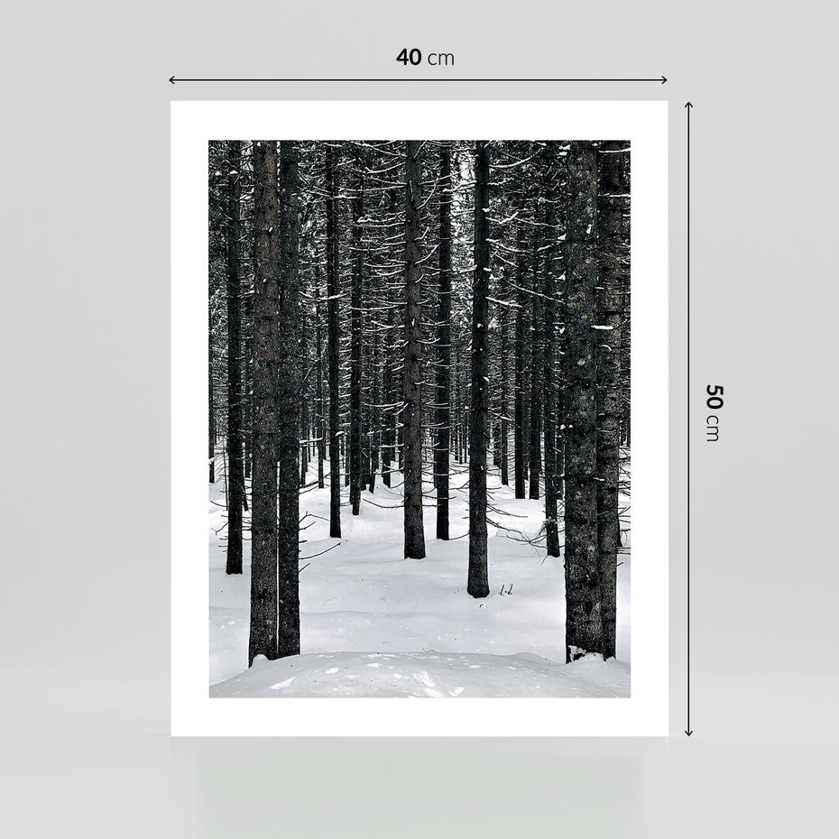 Plakat bez ramy 40x50 - Zimowe Drzewa: Śnieg na Pniach - drzew w zimi, pnie drzew