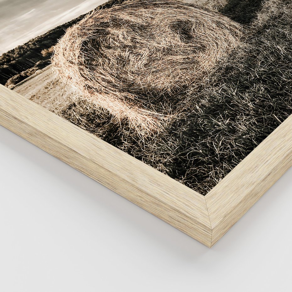 Zestaw obrazy w ramie 40x50 galeria - Bydło, USA, pole - rama drewno