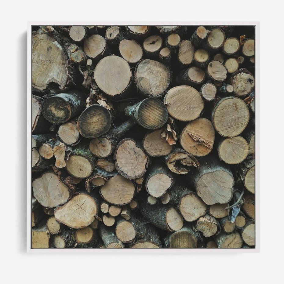 Obraz w ramie 50x50 - Bliskość Natury - drewno, las - rama biała